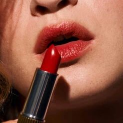 Baume à Lèvres Teinté Hydratant -Cosmétiques De Mode Chouchou Formatcarre 1