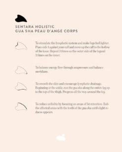 Gua Sha Peau D'Ange Corps -Cosmétiques De Mode Gua sha peau d ange corps EN
