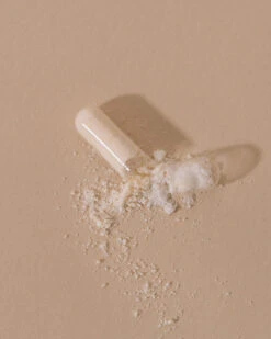 Microbiote & Nombril Compléments Digestion -Cosmétiques De Mode Microbiote et Nombril 3